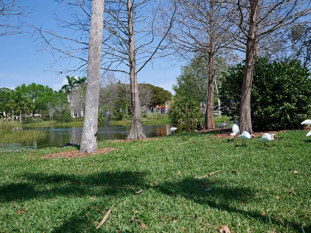 516 Laurel Park Drive Sarasota FL 34236