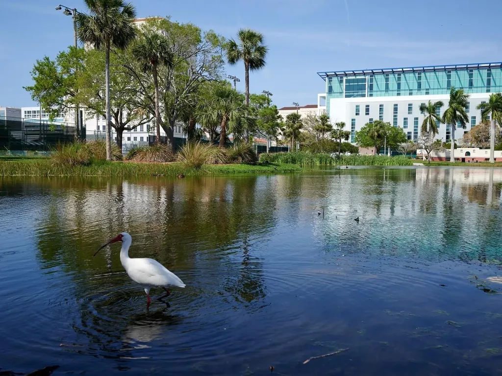 516 Laurel Park Drive Sarasota FL 34236