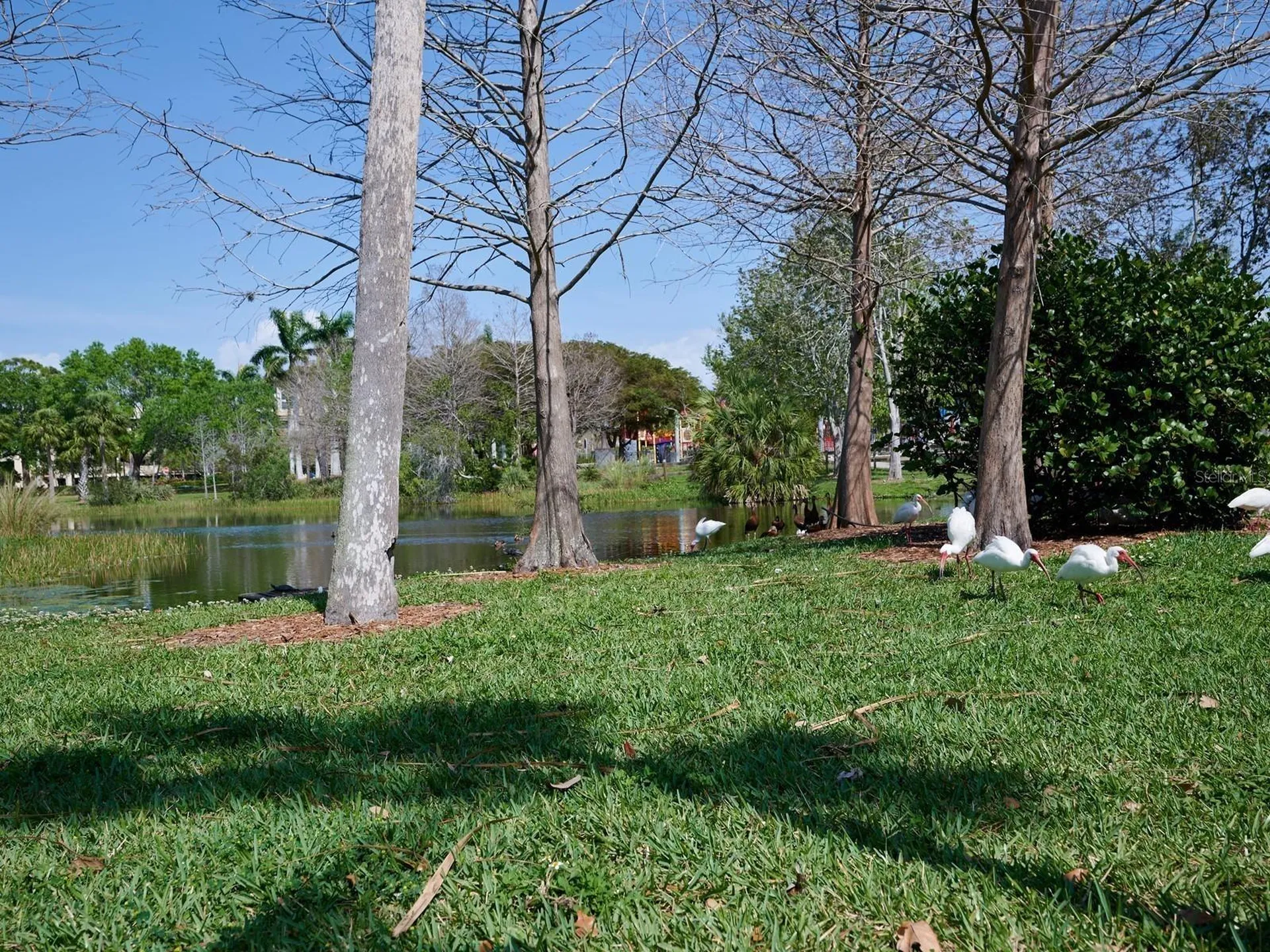 516 Laurel Park Drive Sarasota FL 34236