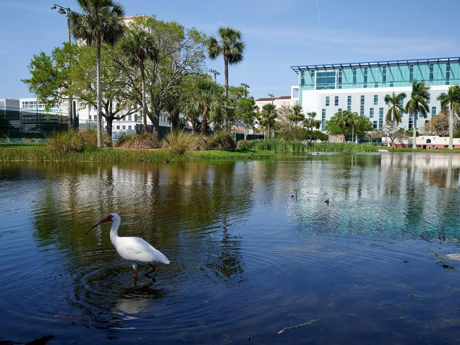 516 Laurel Park Drive Sarasota FL 34236