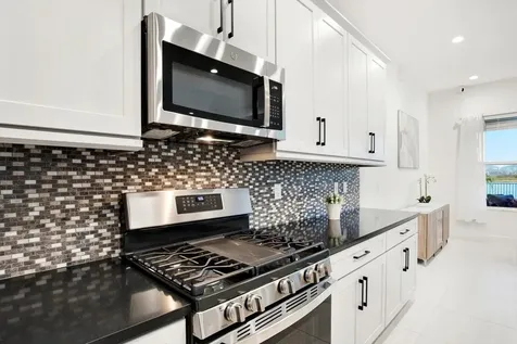 32179 Logan Elm Terrace Wesley Chapel FL 33543