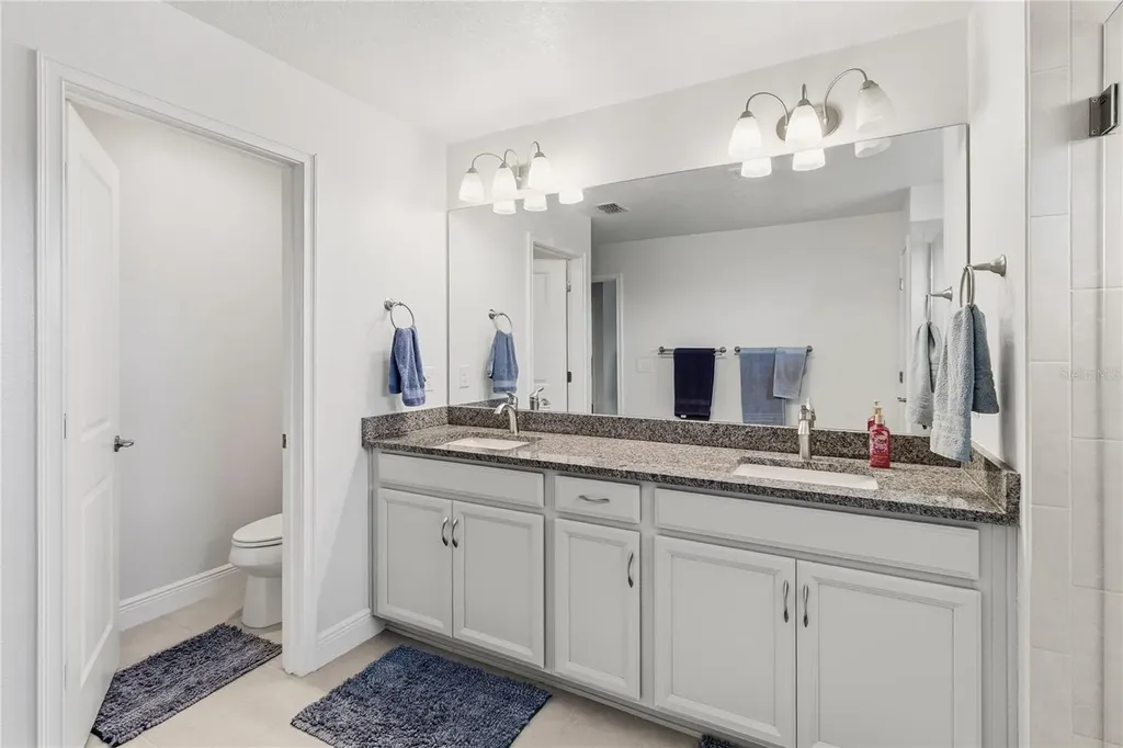 2313 Sunset Wind Loop Oldsmar FL 34677