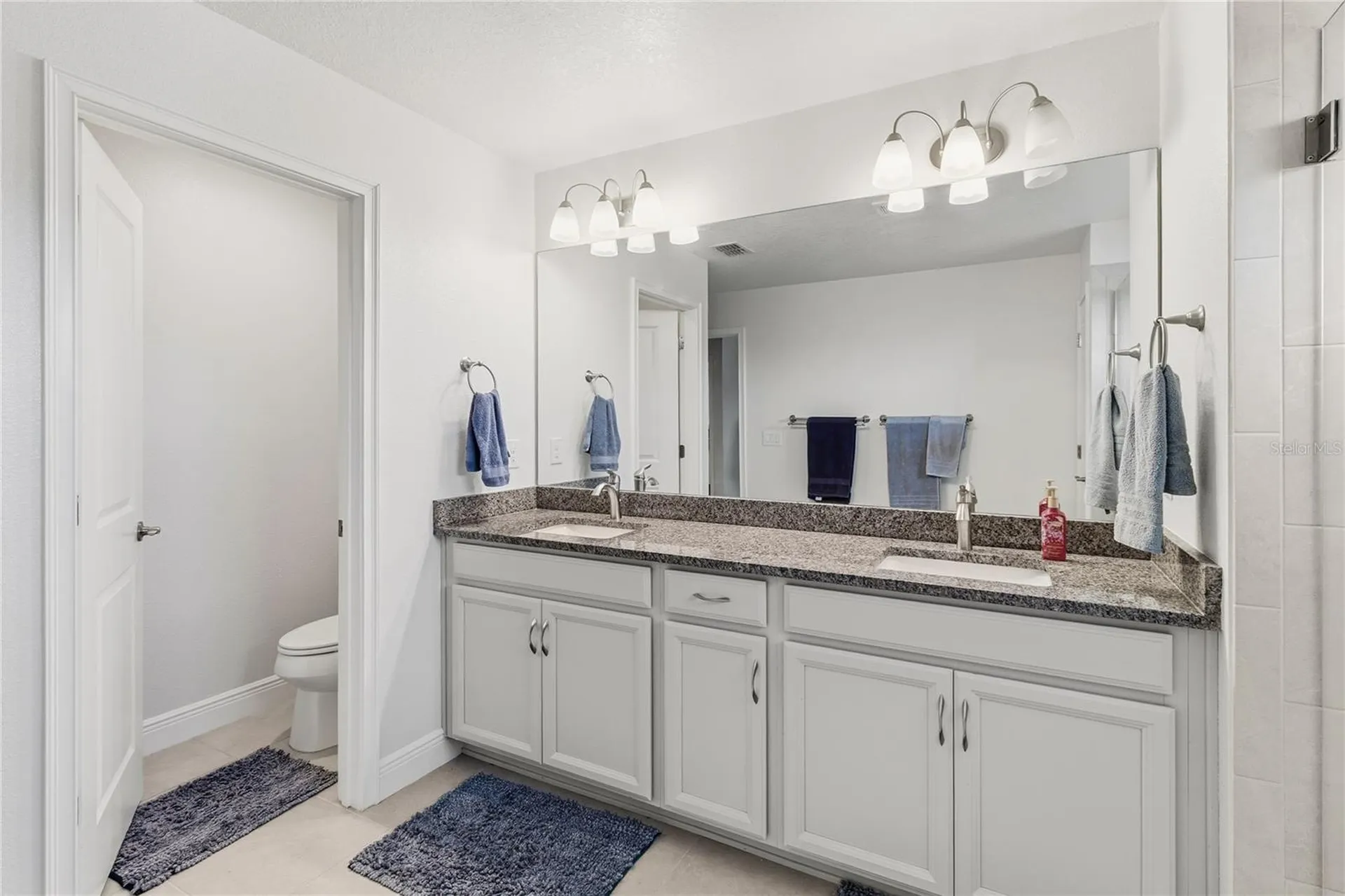 2313 Sunset Wind Loop Oldsmar FL 34677