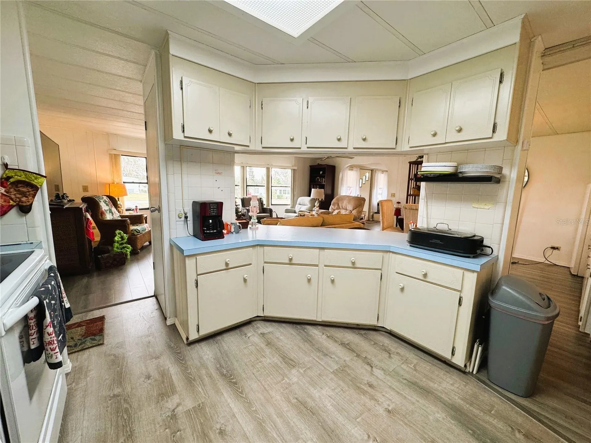 407 Palo Verde Drive Leesburg FL 34748