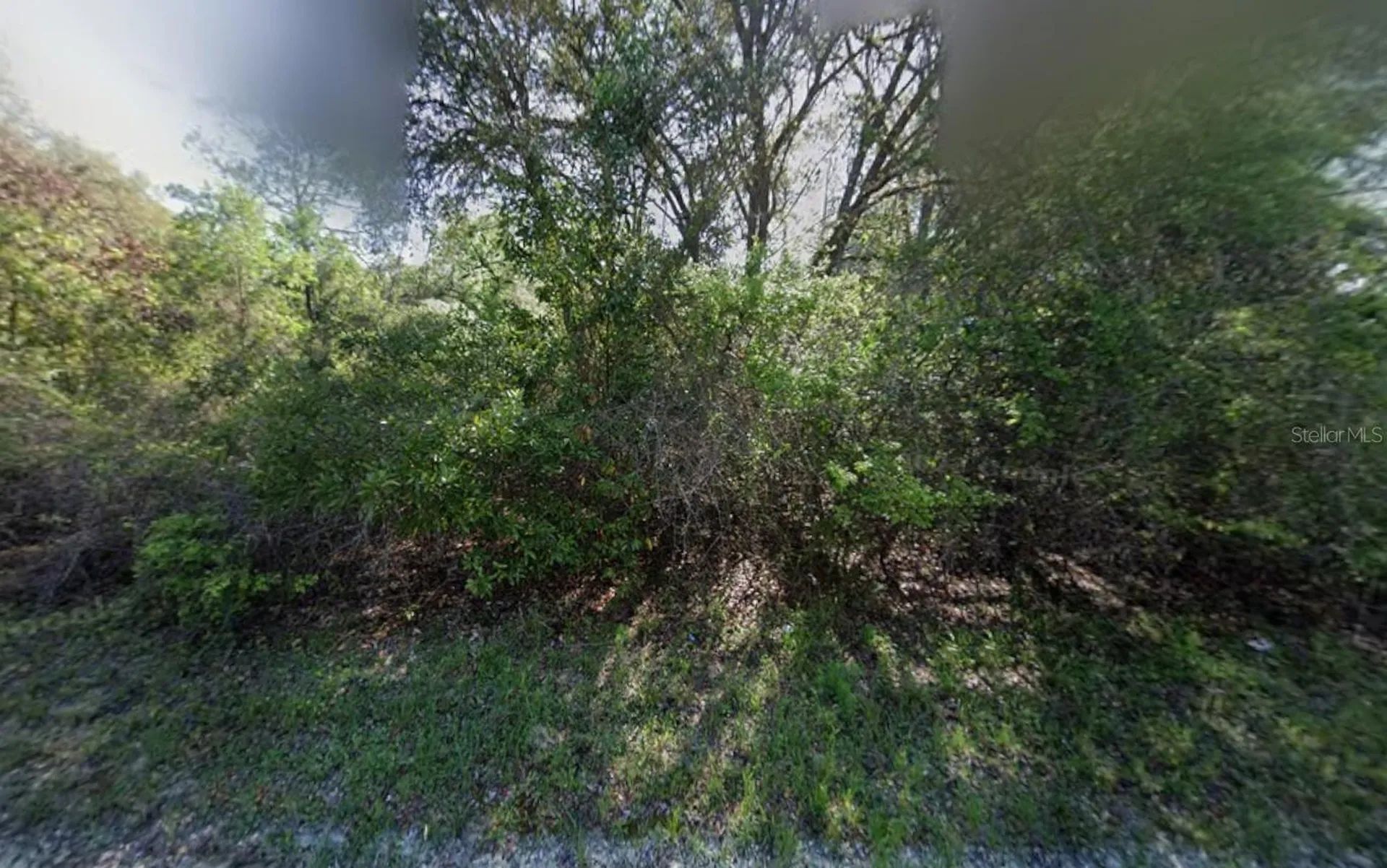 NE 799th Street Old Town FL 32680