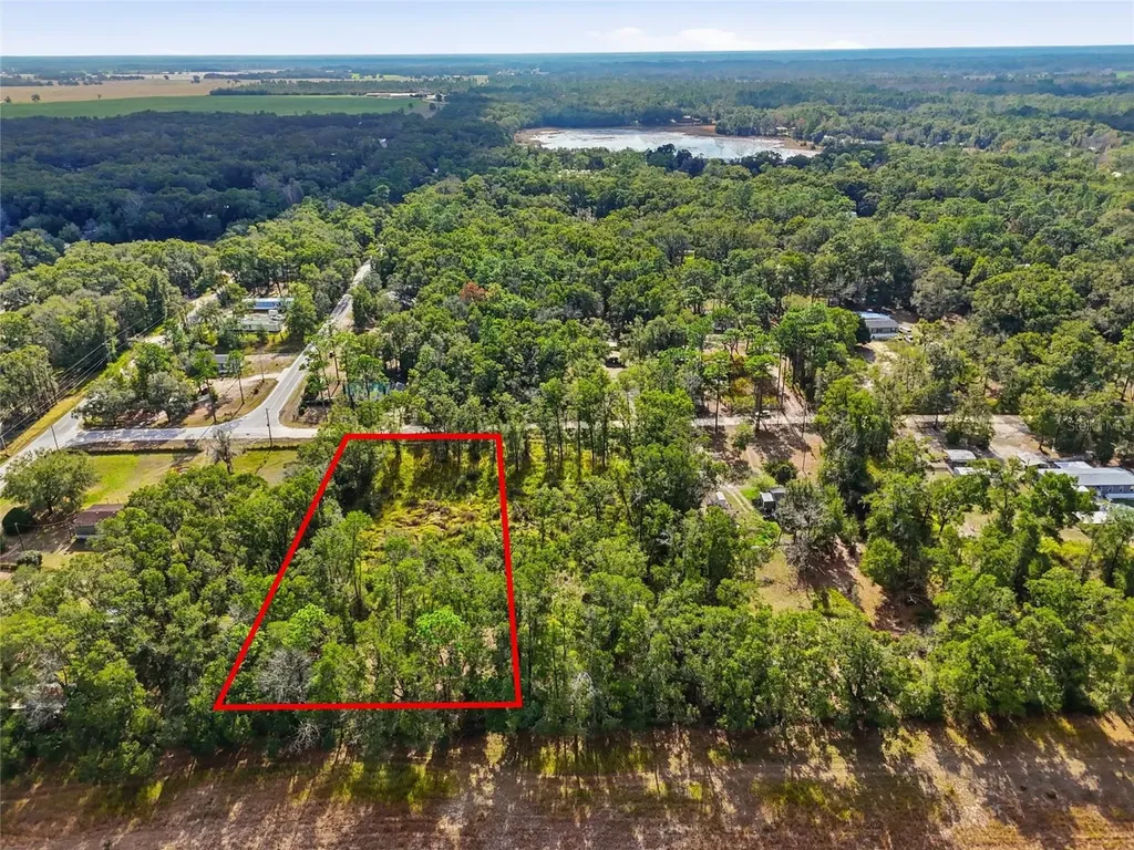 00 SE 80th Place Trenton FL 32693