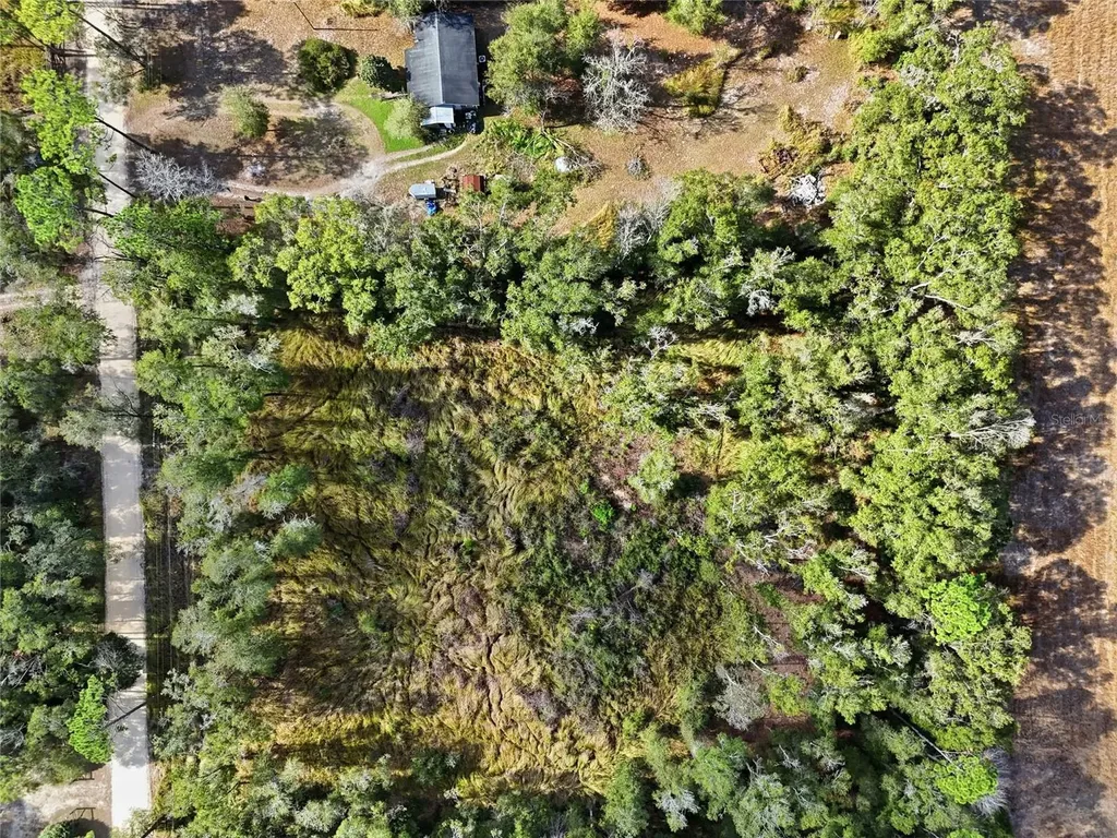 00 SE 80th Place Trenton FL 32693