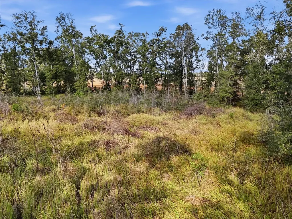 00 SE 80th Place Trenton FL 32693