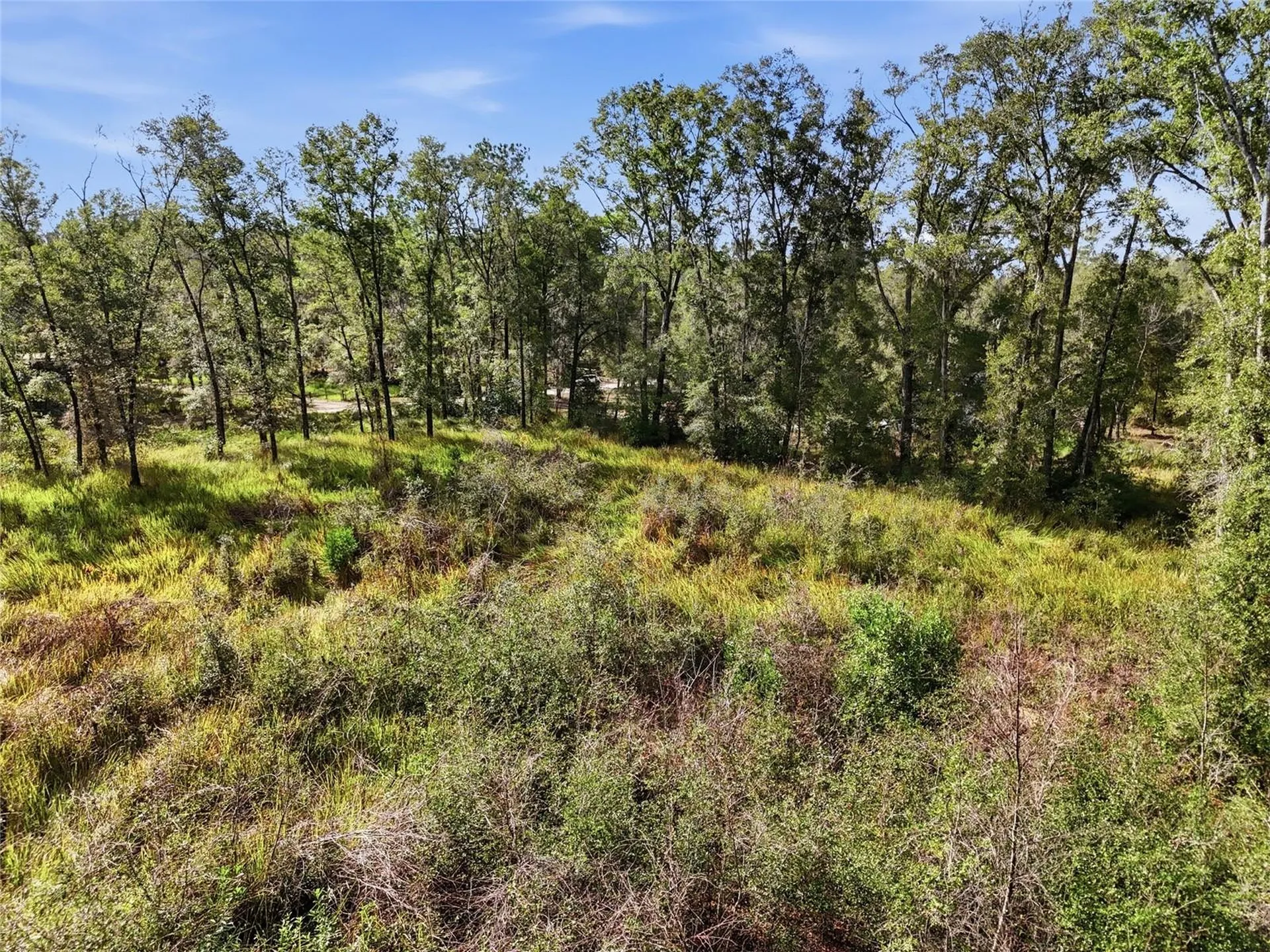 00 SE 80th Place Trenton FL 32693