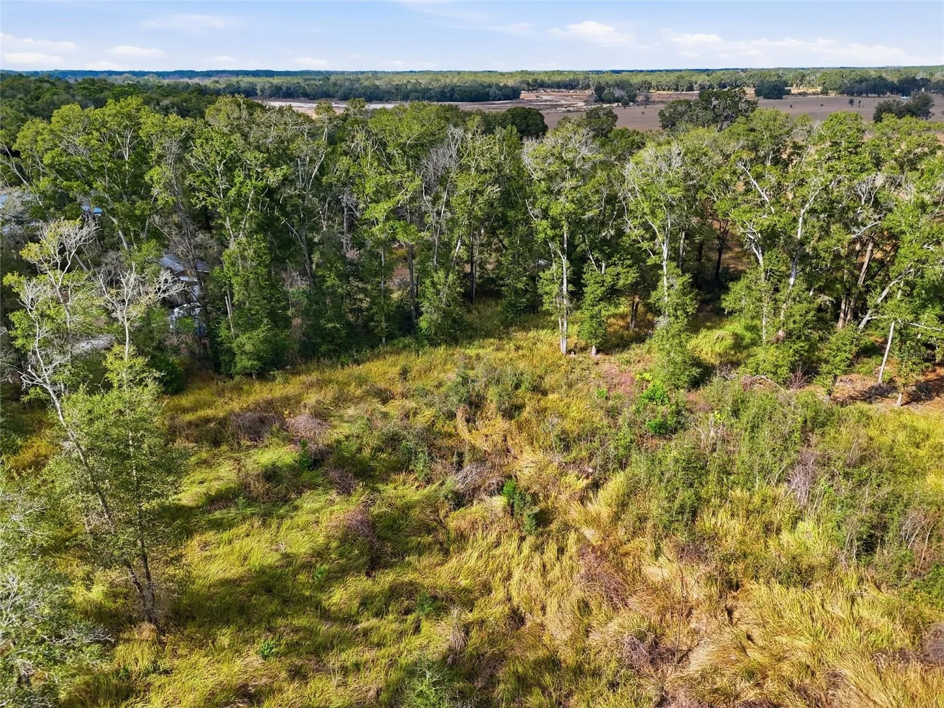 00 SE 80th Place Trenton FL 32693