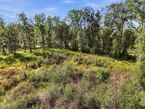 00 SE 80th Place Trenton FL 32693
