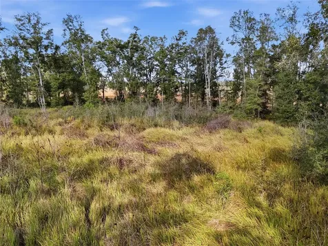 00 SE 80th Place Trenton FL 32693