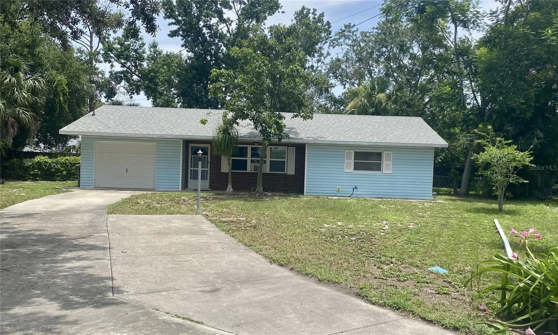 3695 Dale Court Mount Dora FL 32757