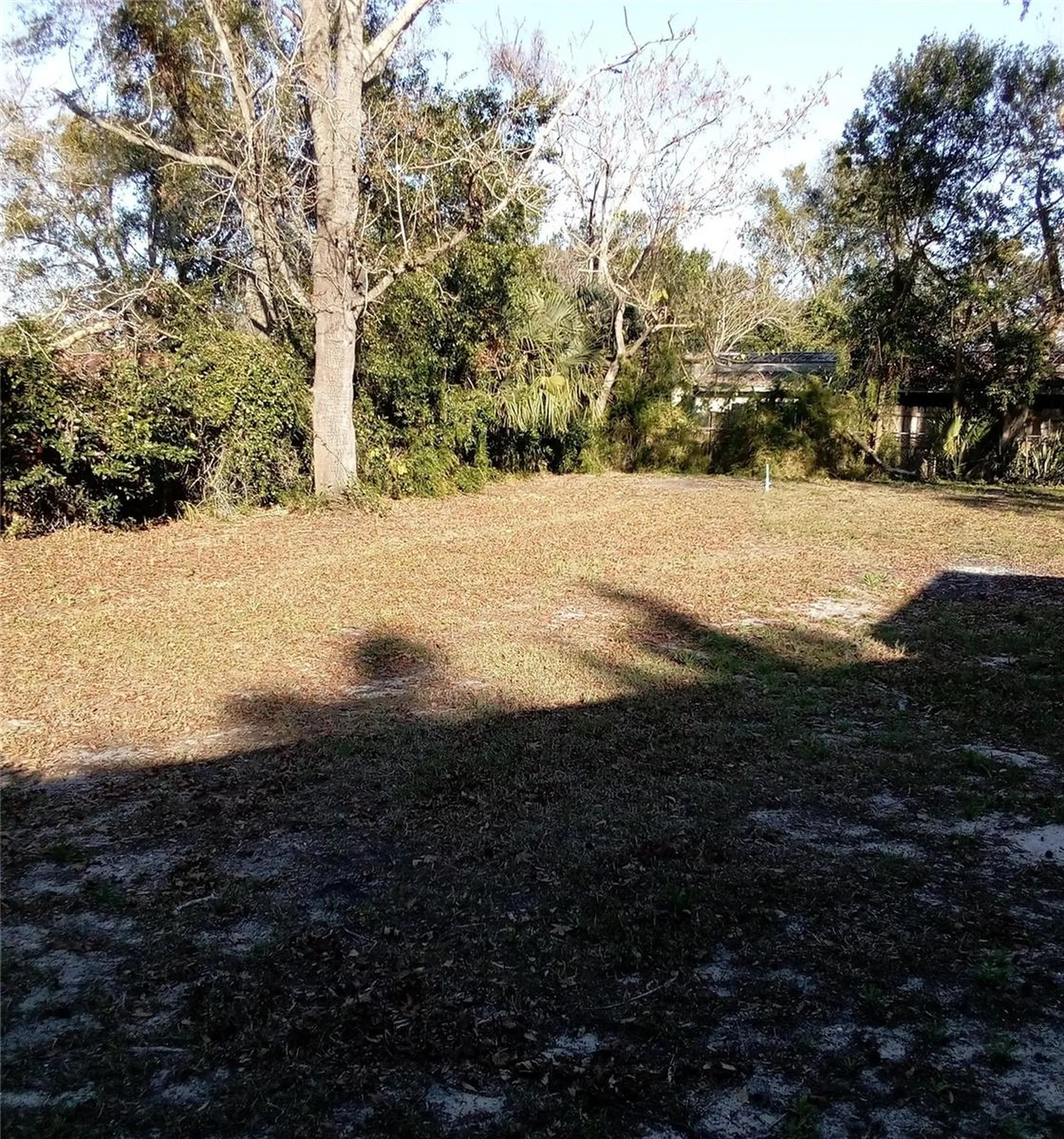 3695 Dale Court Mount Dora FL 32757