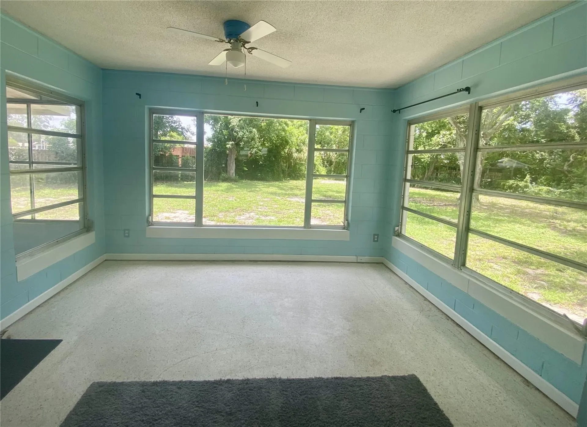 3695 Dale Court Mount Dora FL 32757
