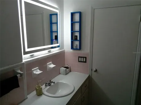 3695 Dale Court Mount Dora FL 32757