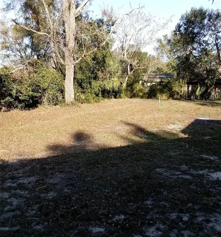 3695 Dale Court Mount Dora FL 32757