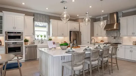 29644 Imperati Boulevard Wesley Chapel FL 33543