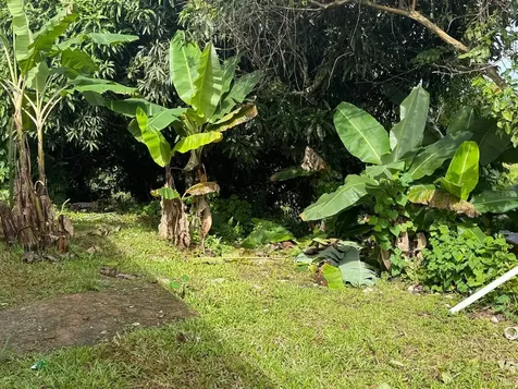 763 San Salvador Caguas PR 00725
