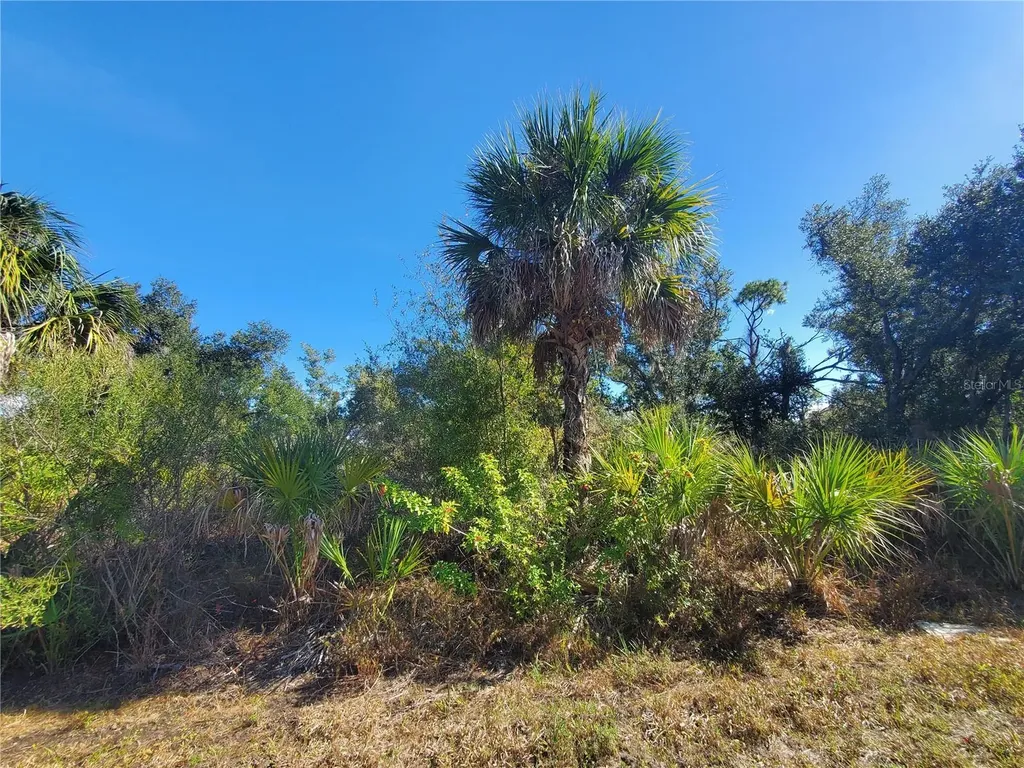 1520 Capel Street Port Charlotte FL 33953