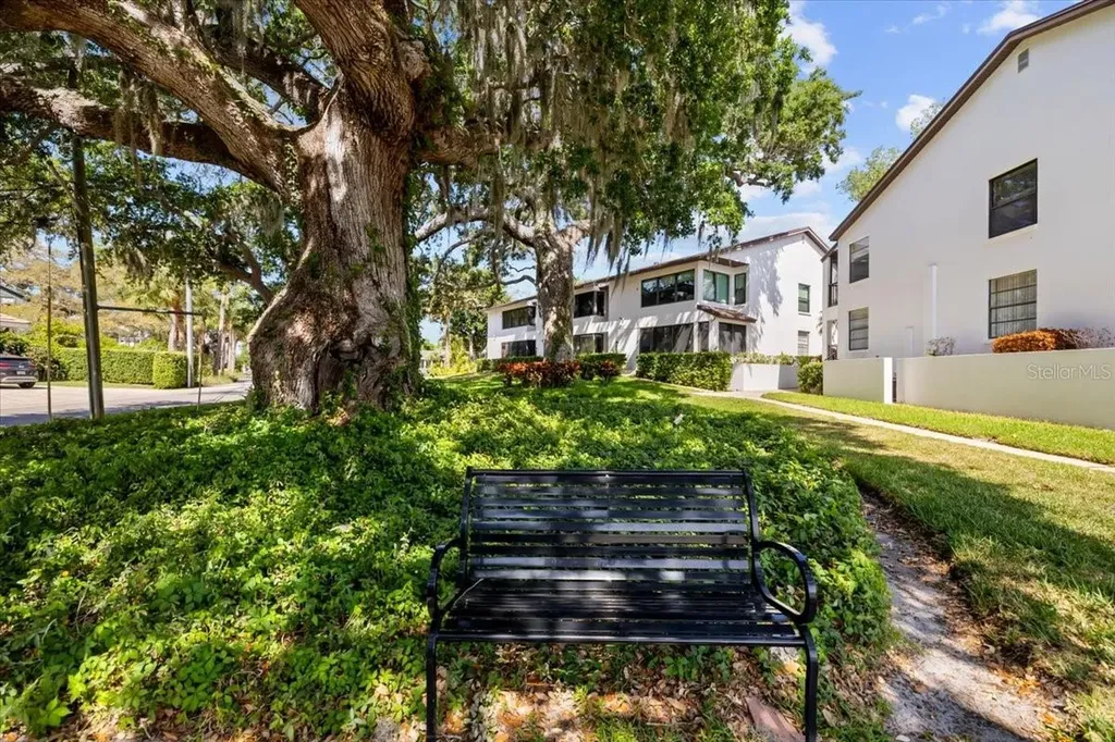 413 S Bayshore Boulevard Safety Harbor FL 34695