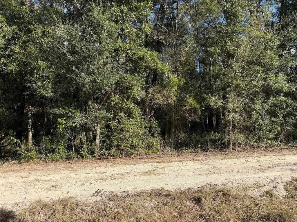 Tbd SW 134 Terrace Archer FL 32618