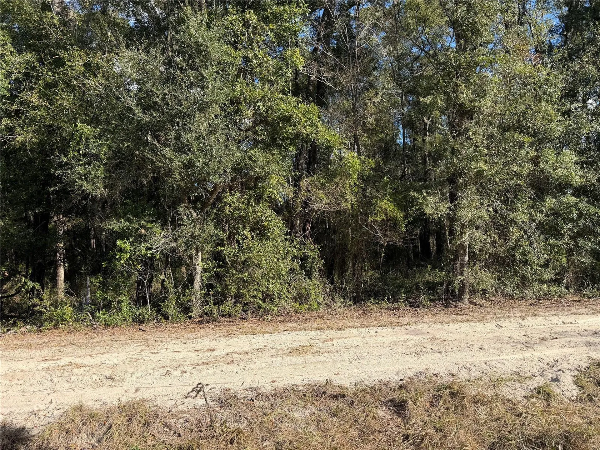 Tbd SW 134 Terrace Archer FL 32618