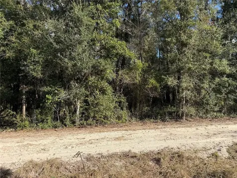 Tbd SW 134 Terrace Archer FL 32618
