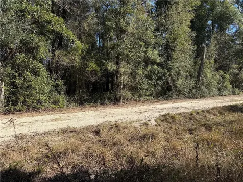 Tbd SW 134 Terrace Archer FL 32618