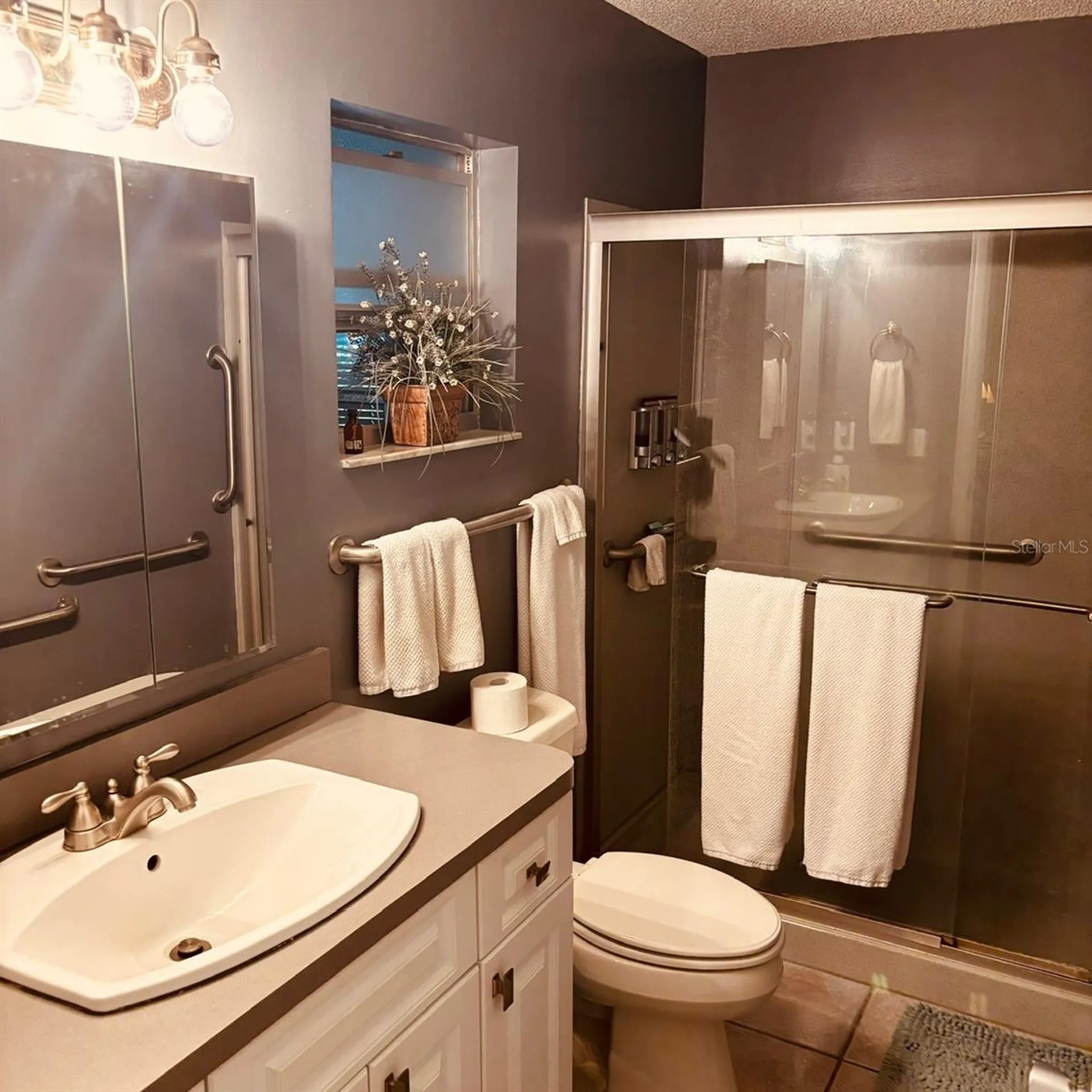 8747 SW 93rd Place Ocala FL 34481