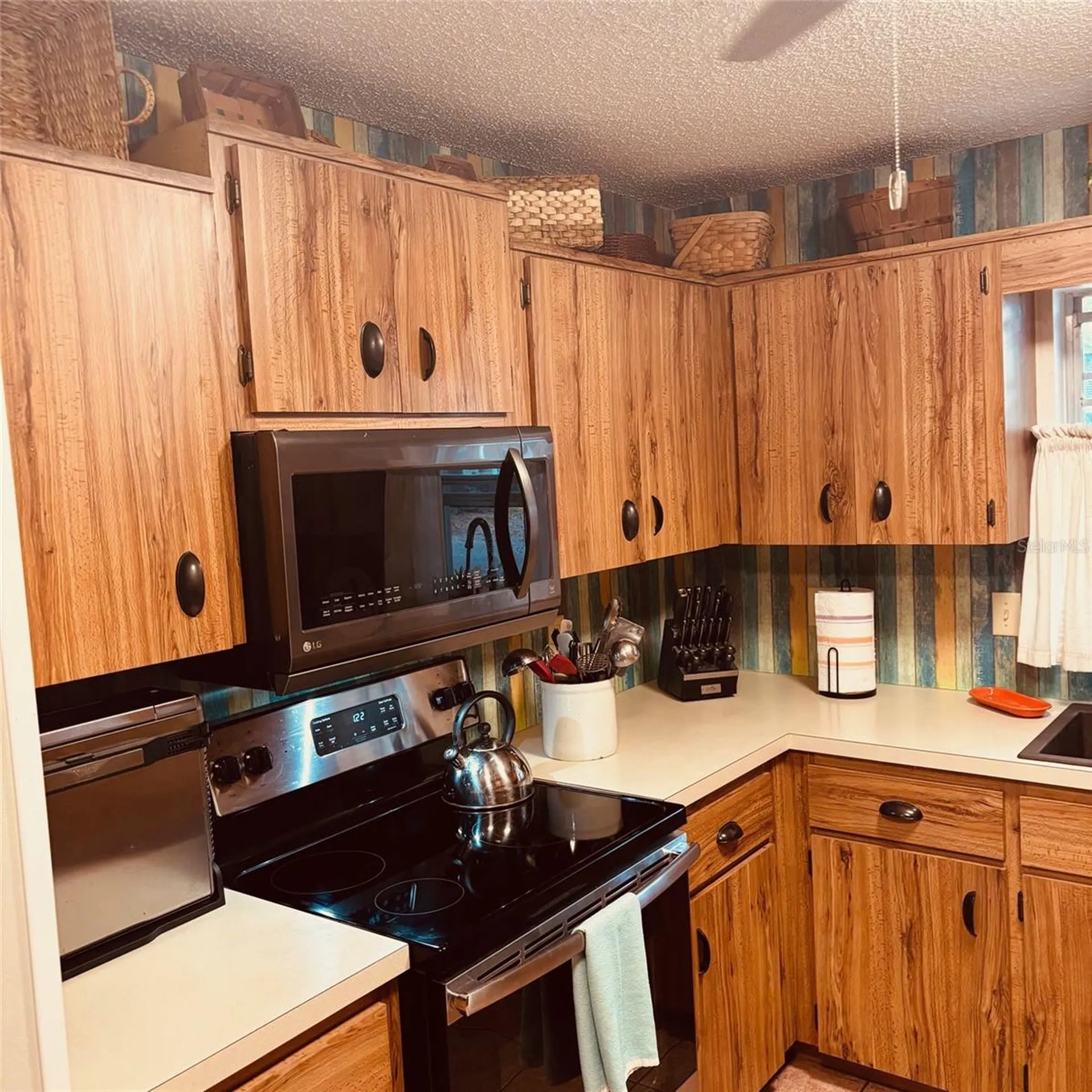 8747 SW 93rd Place Ocala FL 34481