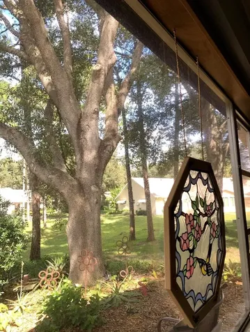8747 SW 93rd Place Ocala FL 34481