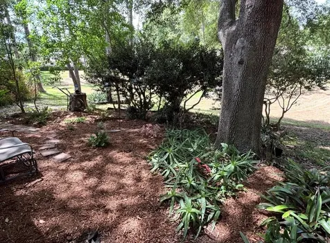 8747 SW 93rd Place Ocala FL 34481