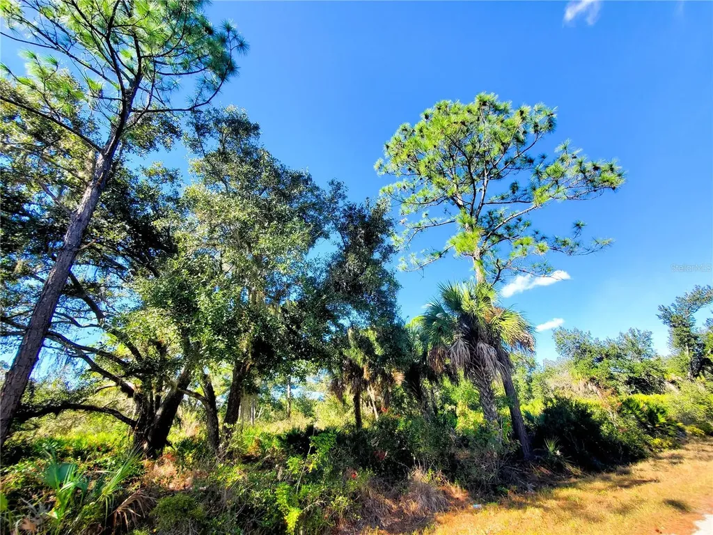 1603 Frisco Terrace Port Charlotte FL 33953