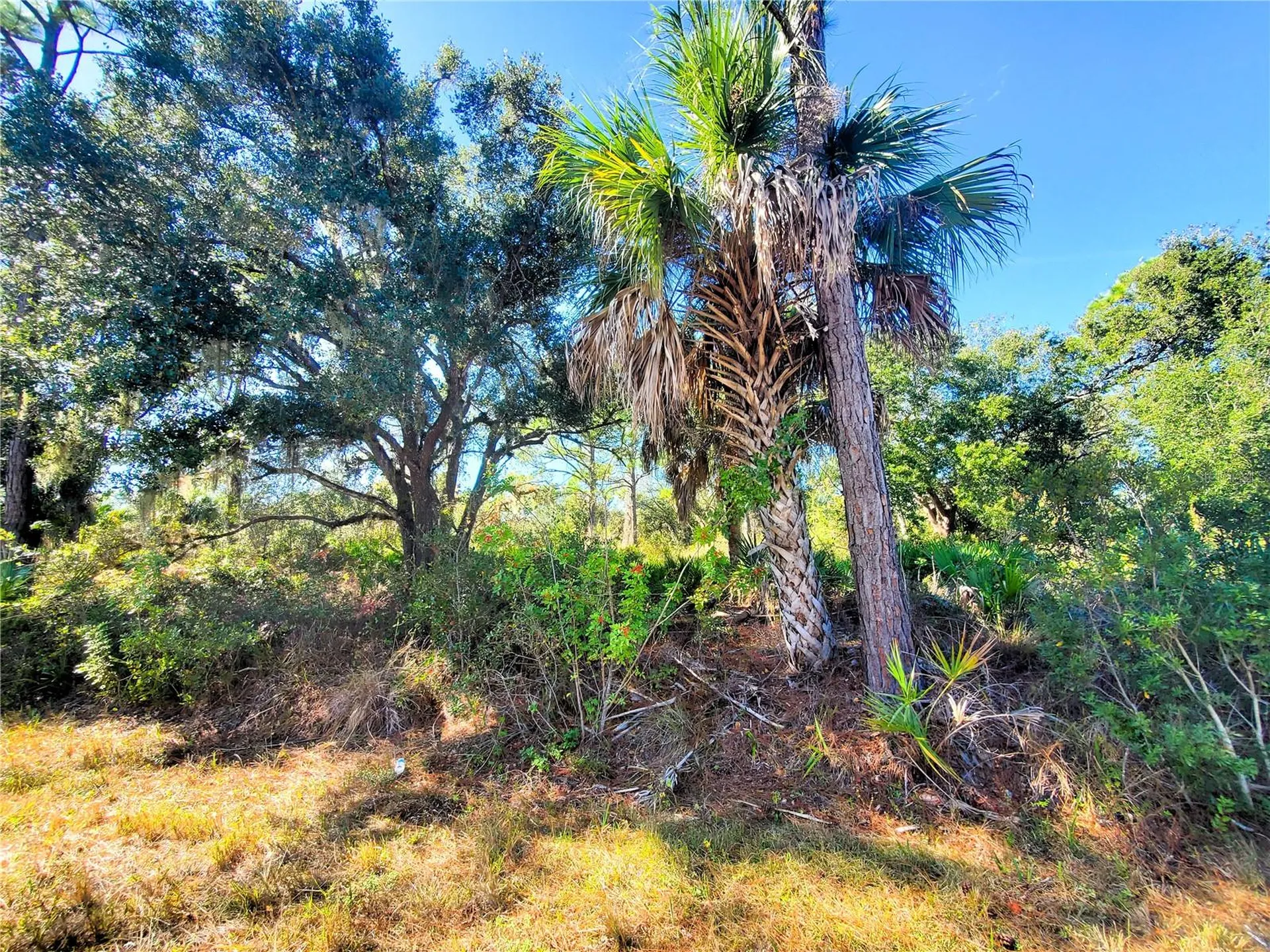 1603 Frisco Terrace Port Charlotte FL 33953