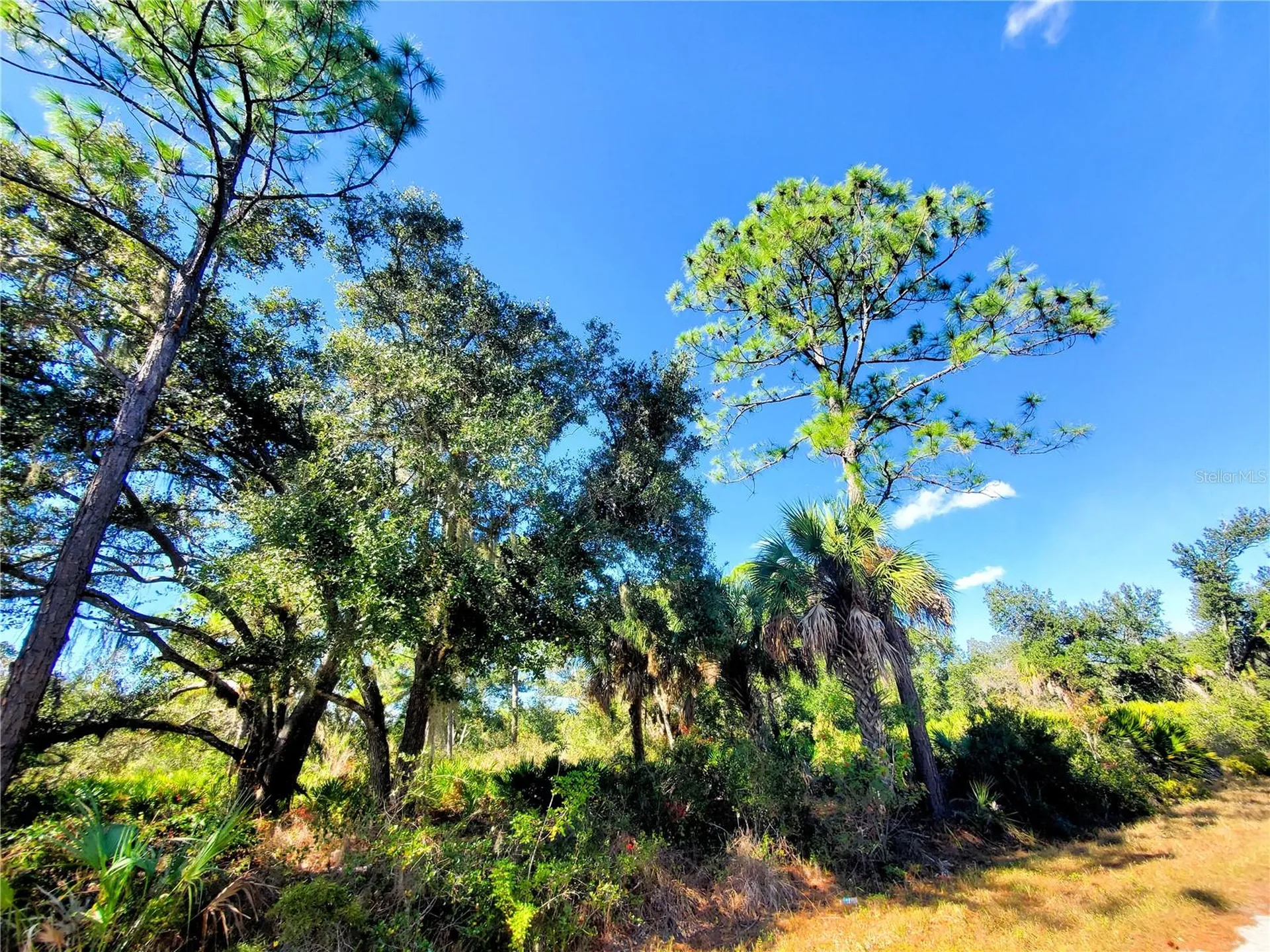 1603 Frisco Terrace Port Charlotte FL 33953