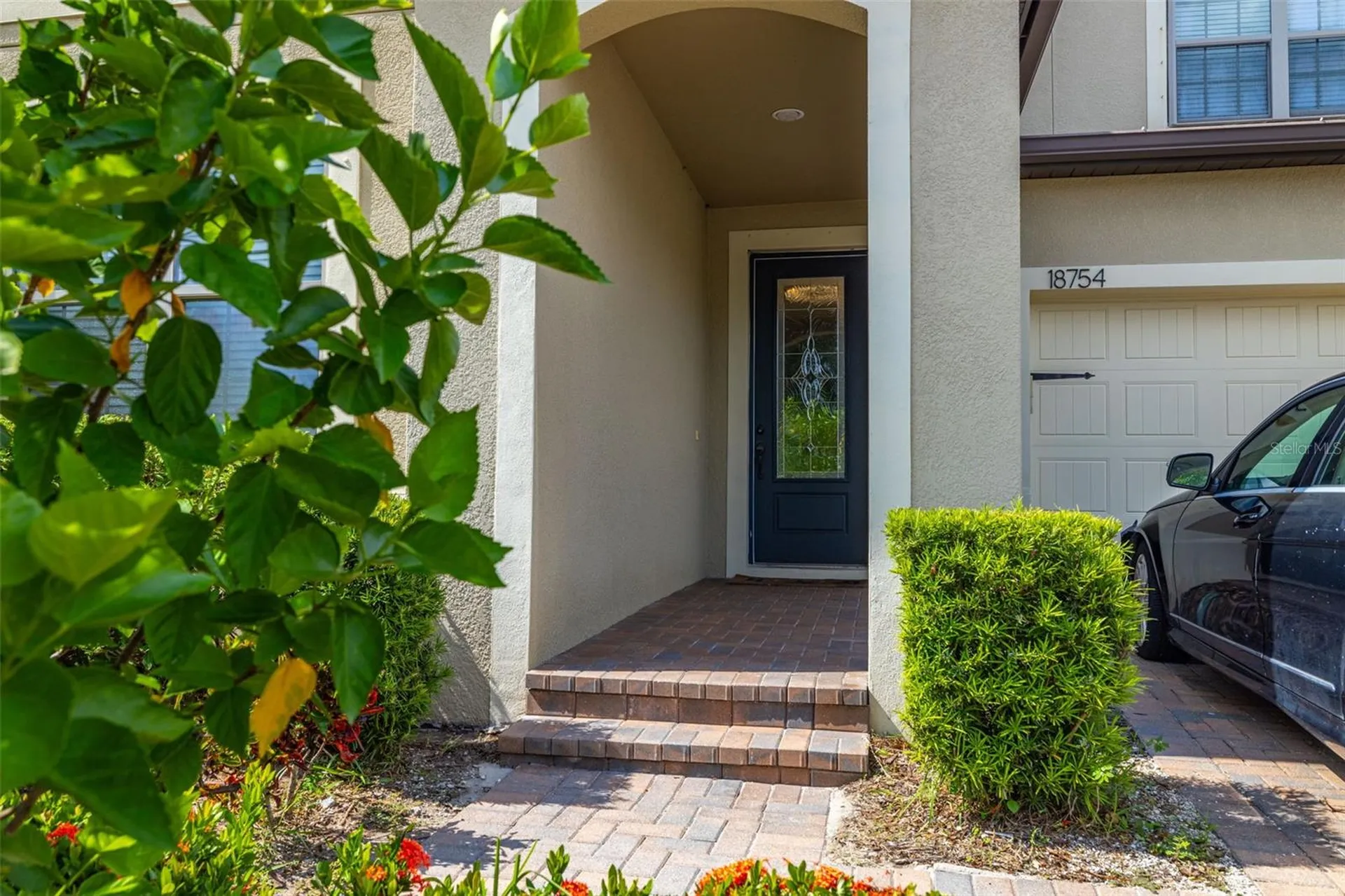 18754 Birchwood Groves Drive Lutz FL 33558