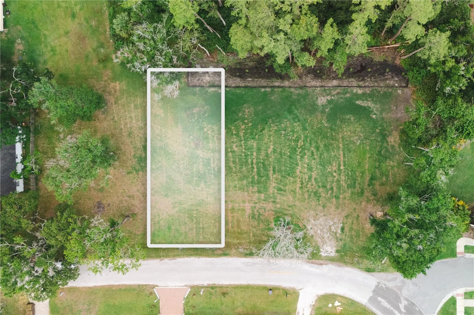 7305 Avonwood Drive Tampa FL 33625