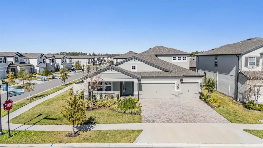 33091 Sycamore Leaf Drive Wesley Chapel FL 33545