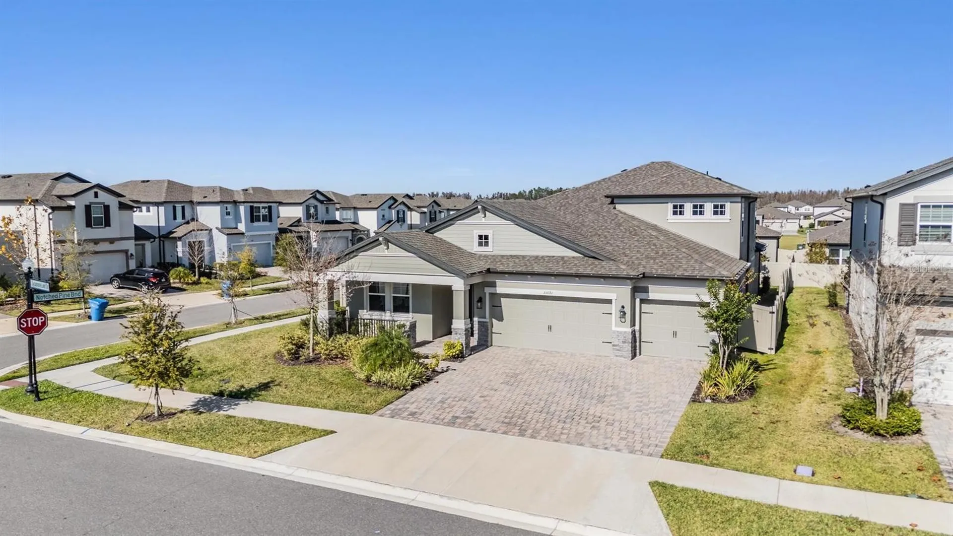 33091 Sycamore Leaf Drive Wesley Chapel FL 33545
