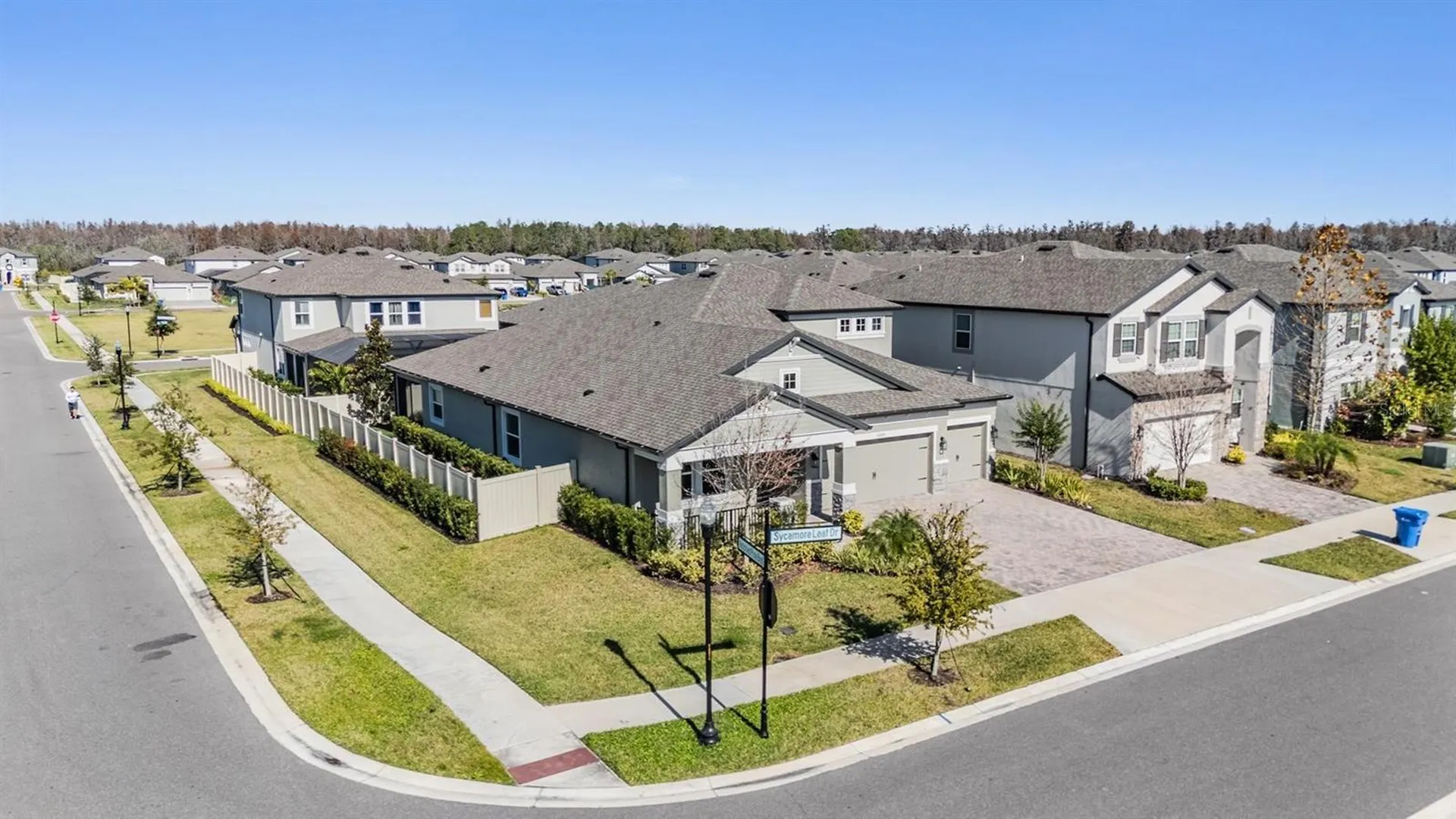 33091 Sycamore Leaf Drive Wesley Chapel FL 33545