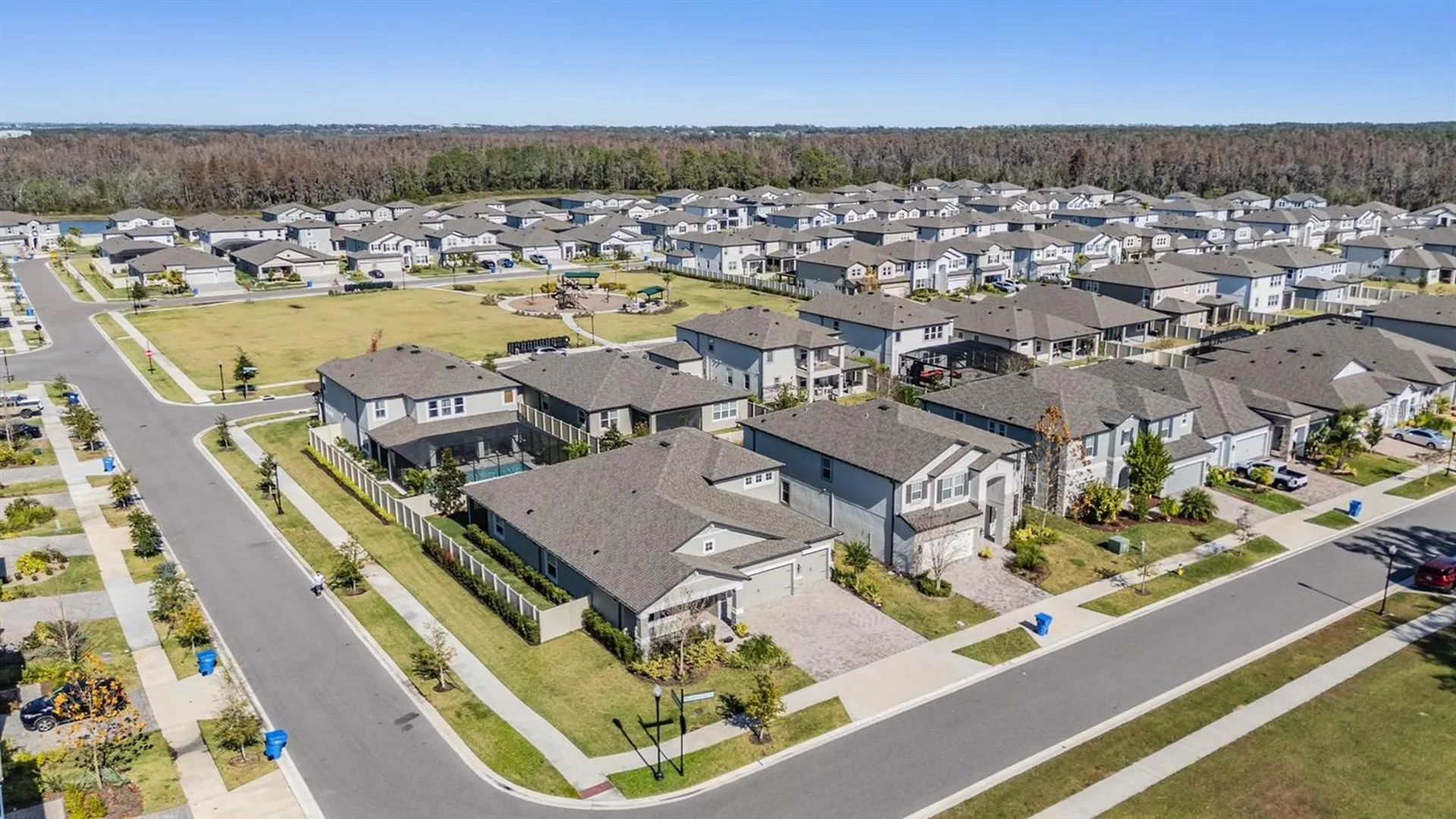 33091 Sycamore Leaf Drive Wesley Chapel FL 33545