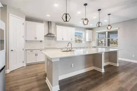 33091 Sycamore Leaf Drive Wesley Chapel FL 33545