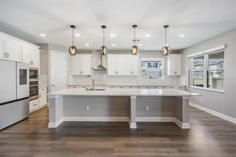 33091 Sycamore Leaf Drive Wesley Chapel FL 33545