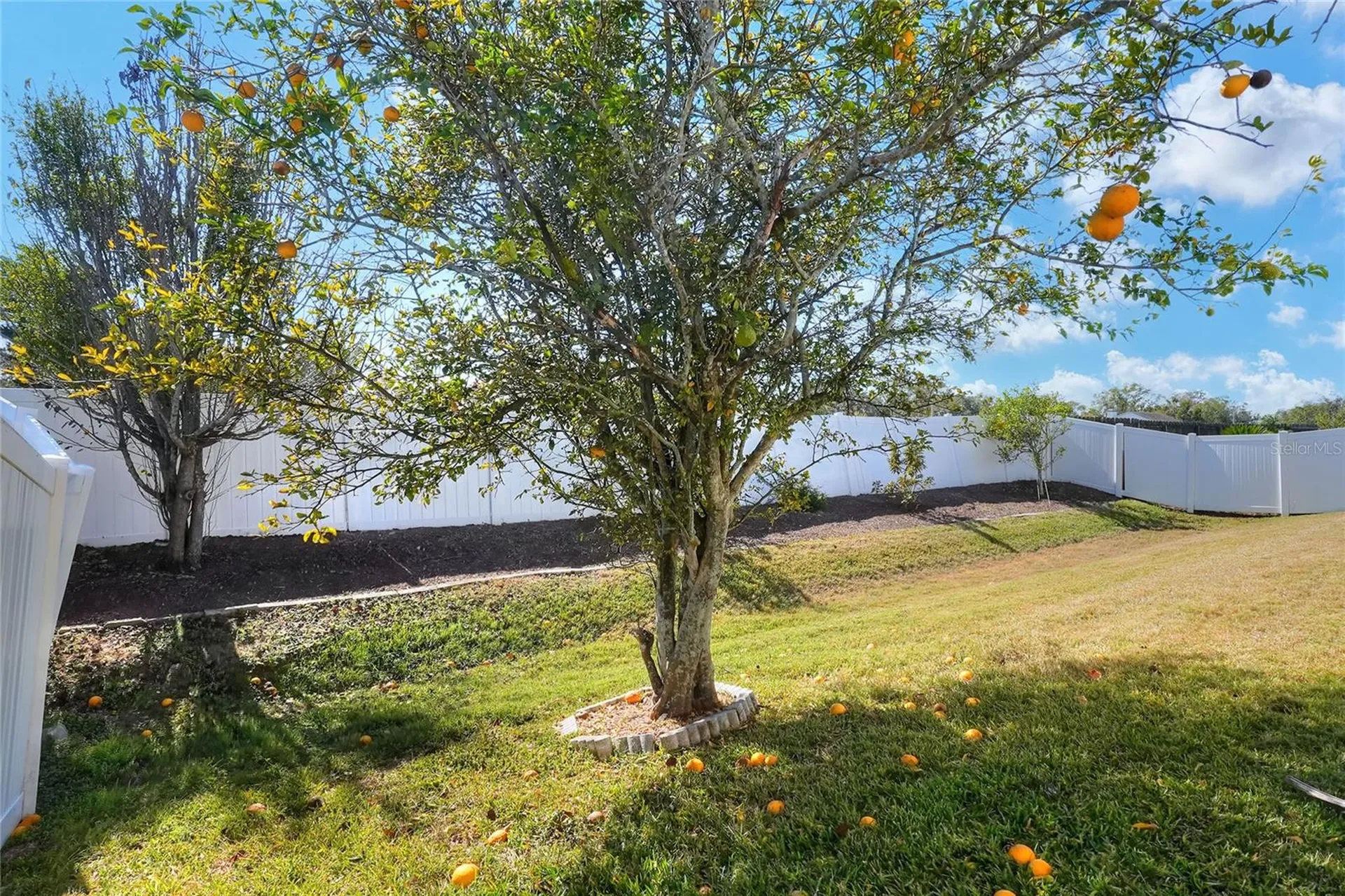 412 Emerald Cove Loop Lakeland FL 33813