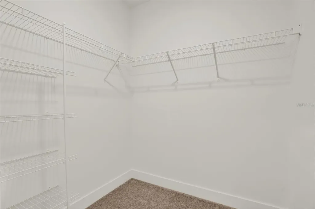 33018 Frosted Clover Way Wesley Chapel FL 33545