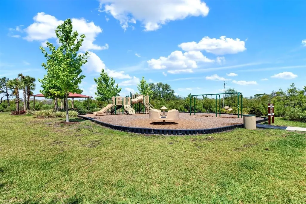 33018 Frosted Clover Way Wesley Chapel FL 33545