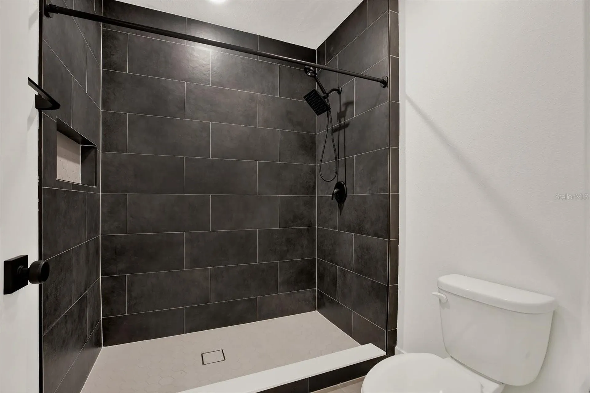 33018 Frosted Clover Way Wesley Chapel FL 33545