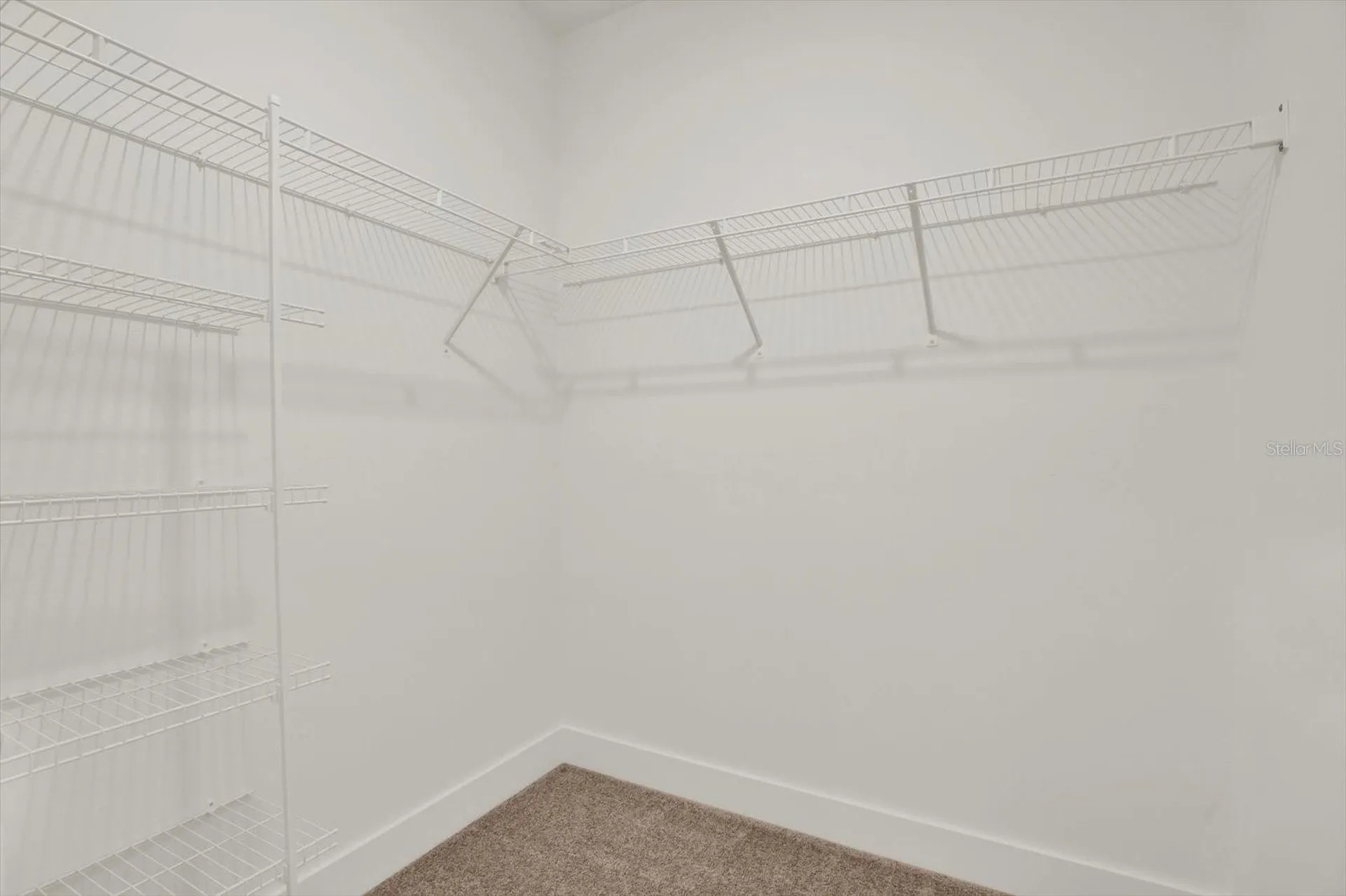 33018 Frosted Clover Way Wesley Chapel FL 33545