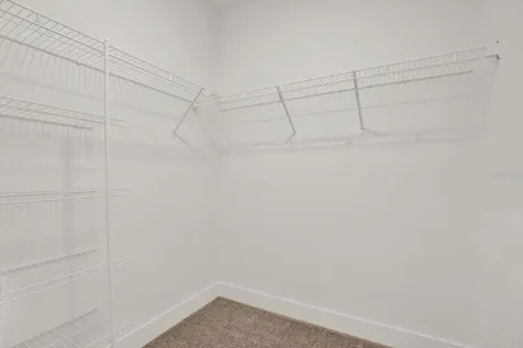 33018 Frosted Clover Way Wesley Chapel FL 33545